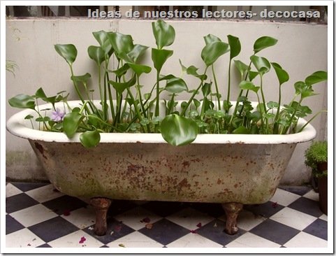 Foto Idea de nuestros lectores decocasa Bañera c.plantas M